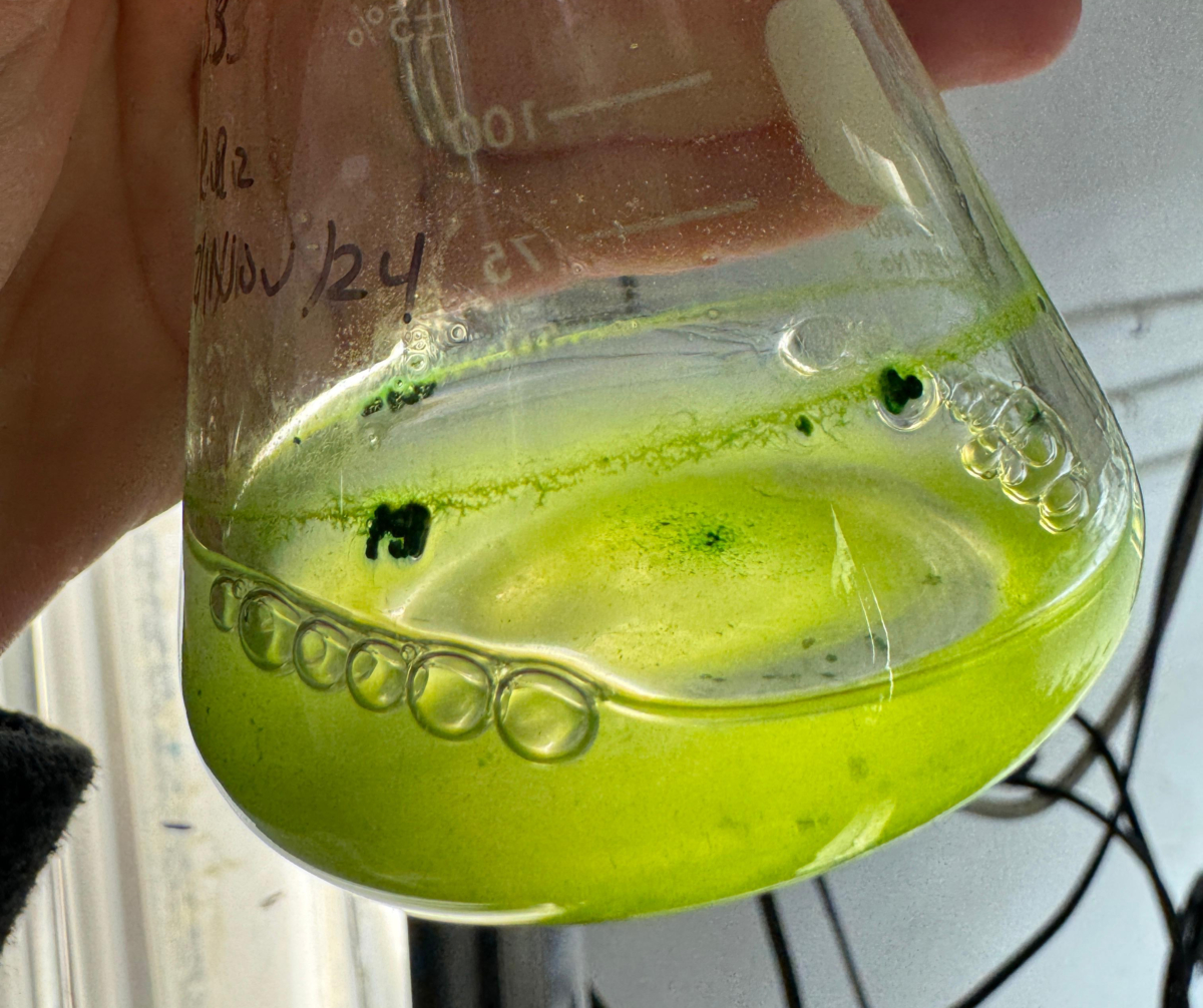 Biogas can be more than just energy – (update)